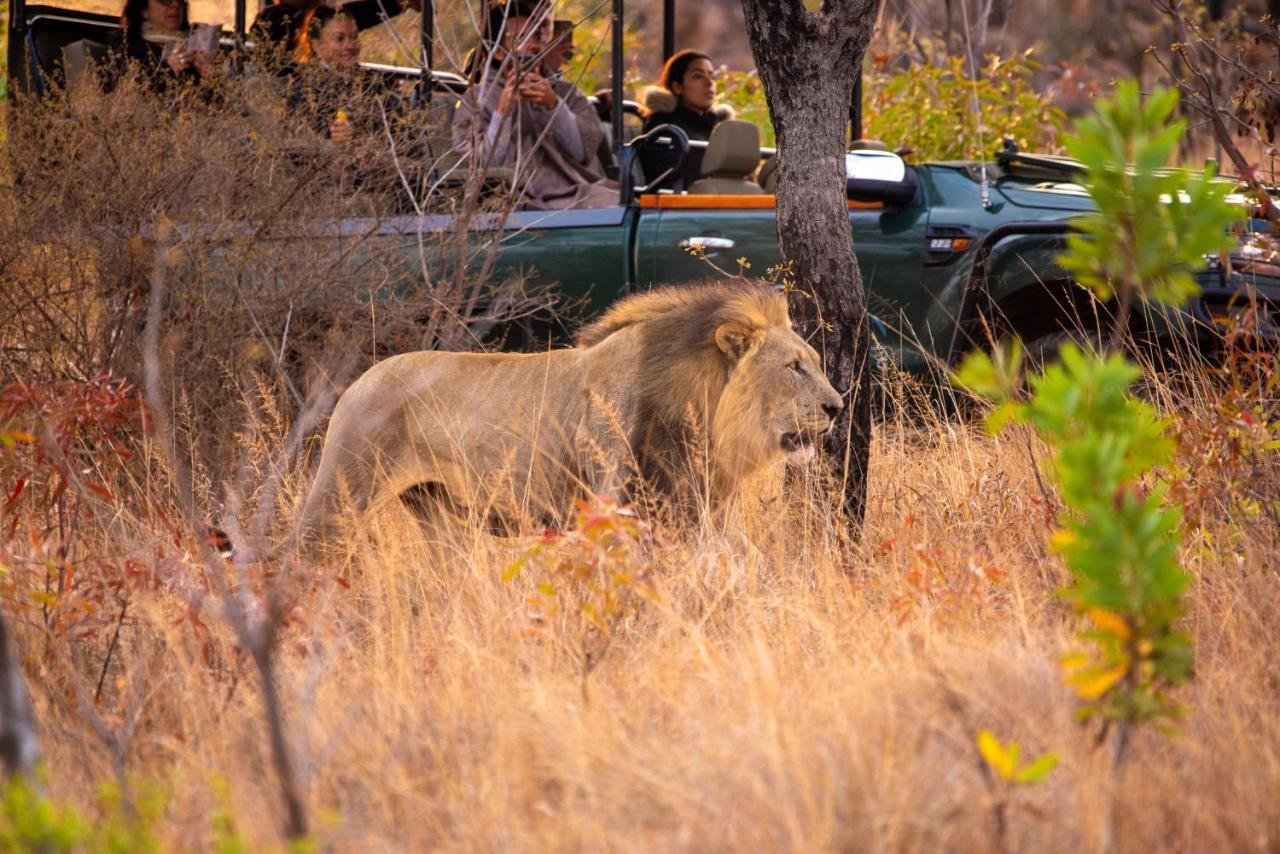 Nungubane Game Lodge Welgevonden Ngoại thất bức ảnh